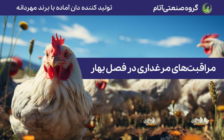 مراقبتهای مرغداری در فصل بهار